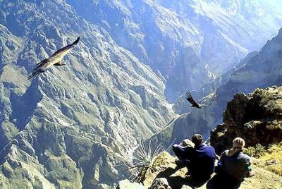 Tour Colca Full Day Promotional Price Tour Colca Full Day Promotional Price