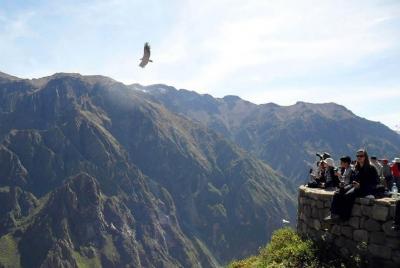 Colca Canyon Full Day  Colca Canyon Full Day