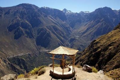 Colca Full Day Colca Full Day