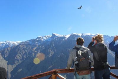 Colca Full Day Tour Colca Full Day Tour