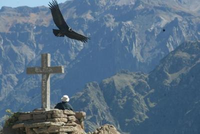 Full day Colca Canyon tour from Arequipa Full day Colca Canyon tour from Arequipa