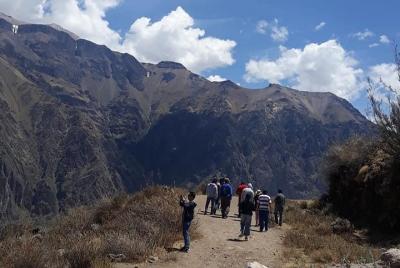 Colca Full Day Colca Full Day