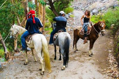 Horse Ride through Arequipa - Arequipa Racecourse