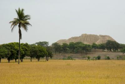 Tour to Túcume, Royal Tombs of Sipán museum and Huaca Rajada and  Tour to Túcume, Royal Tombs of Sipán museum and Huaca Rajada and