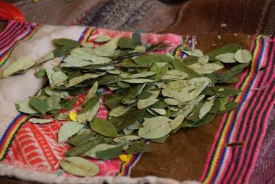 Oracle reading ceremony - online session