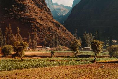 Full day Sacred Valley P Full day Sacred Valley P'isaq and Ollantaytambo