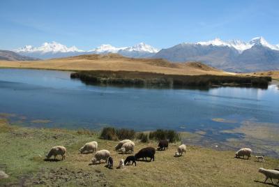 Full-Day Hike to Huilcaccoha Lake in the Cordillera Negra from Hu Full-Day Hike to Huilcaccoha Lake in the Cordillera Negra from Hu