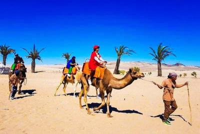 Dromedaries Experience in Ica Dromedaries Experience in Ica