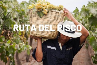 Pisco route in Ica Pisco route in Ica