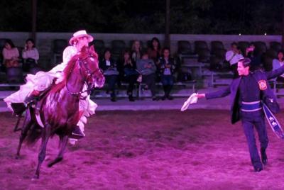 Dinner Show and Exhibition of Peruvian Horse including Pick up &  Dinner Show and Exhibition of Peruvian Horse including Pick up &
