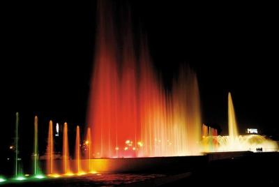 Lima by Night and Dinner with show of Peruvian Paso Horses