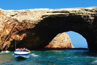 Palomino Islands Swim with sea lions Lima with Transfers included Palomino Islands Swim with sea lions Lima with Transfers included