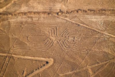 2 Day - Nazca Lines And Ballestas Islands - Group Service