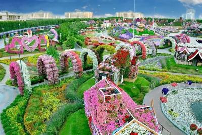 Miracle Garden ticket with Sharing Transfers Miracle Garden ticket with Sharing Transfers