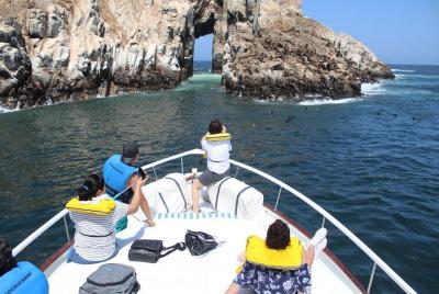 Islands of Lima Sightseeing Cruise Islands of Lima Sightseeing Cruise