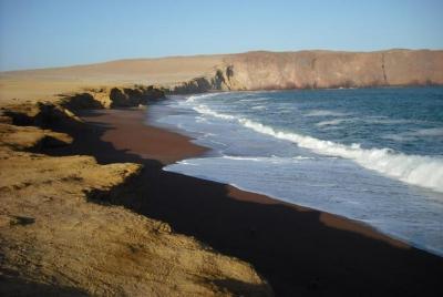 Ballestas Islands and Paracas National Reserve Day Trip from Paracas Ballestas Islands and Paracas National Reserve Day Trip from Paracas