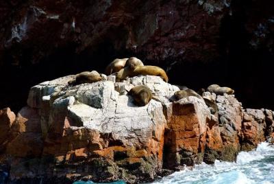 Ballestas Islands Sightseeing Boat Ride from Paracas Ballestas Islands Sightseeing Boat Ride from Paracas