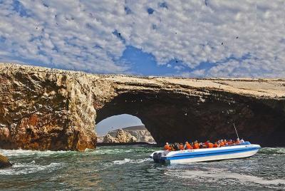Ballestas Islands Group Tour from San Martin Port Ballestas Islands Group Tour from San Martin Port