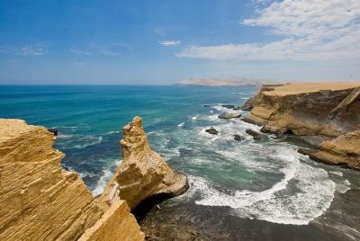 Paracas National Reserve Private Tour Paracas National Reserve Private Tour