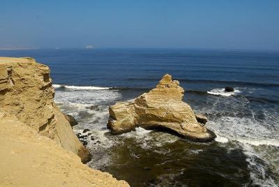 Half-Day Tour of Paracas National Reserve from San Martin Port Half-Day Tour of Paracas National Reserve from San Martin Port
