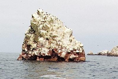 Ballestas Islands and National Reserve Paracas from the port San Martín 