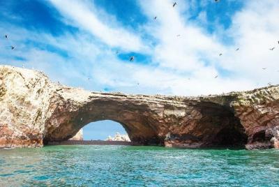 Ballestas Islands & Candelabro Tour Ballestas Islands & Candelabro Tour