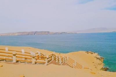 Paracas National Reserve excursion from the San Martín port Paracas National Reserve excursion from the San Martín port