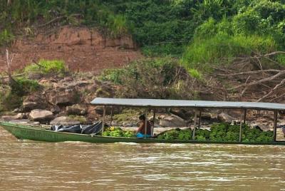 Tambopata National Reserve: Jungle and Adventure 4 days