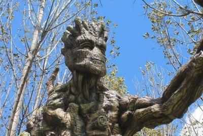 Ecological Park of baby Groot and Ents Ecological Park of baby Groot and Ents