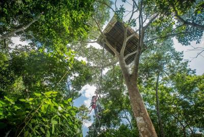 Extreme Tree Climbing Extreme Tree Climbing