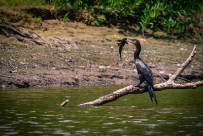 Pacaya Samiria National Park from Tarapoto 5 days and 4 nights Pacaya Samiria National Park from Tarapoto 5 days and 4 nights
