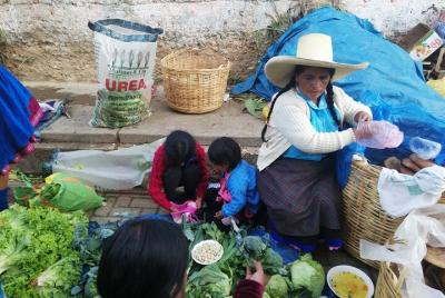 Tour 7 Days Northern Peru