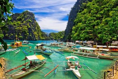 Coron Glittering Firefly Watching Tour (Private) Coron Glittering Firefly Watching Tour (Private)