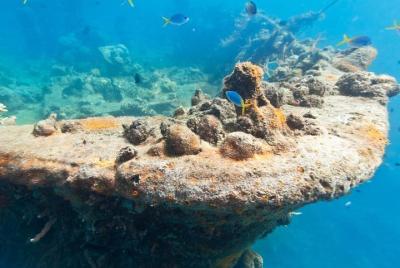 Coron Reefs & Wreck Private Tour Coron Reefs & Wreck Private Tour