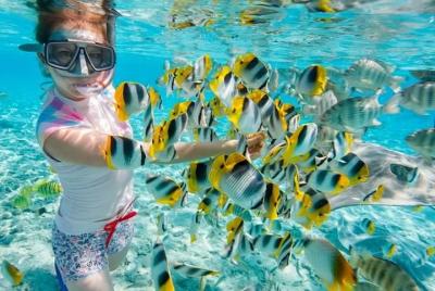 Mactan Island Hopping and Snorkeling  Mactan Island Hopping and Snorkeling