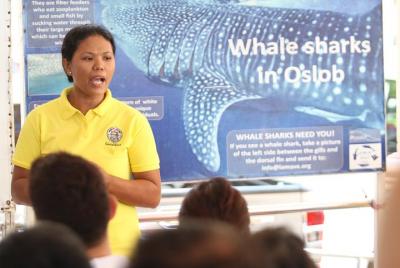 Whale Shark Swimming Experience and Aguinid Falls from Cebu Whale Shark Swimming Experience and Aguinid Falls from Cebu