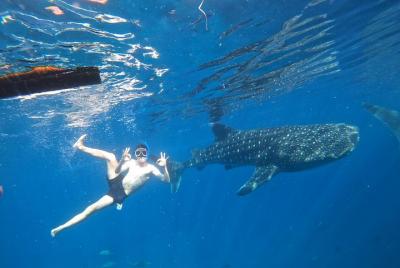Cebu Whaleshark Tour Cebu Whaleshark Tour