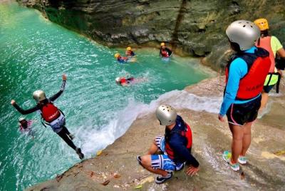 Private Whale Shark Watching and Canyoneering in Kawasan Falls Tour Private Whale Shark Watching and Canyoneering in Kawasan Falls Tour