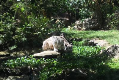 Cebu Safari and Adventure Park  Cebu Safari and Adventure Park