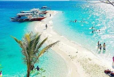 Oslob Tour joiner Oslob Tour joiner