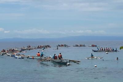 Oslob Whaleshark Watching Daytours Oslob Whaleshark Watching Daytours