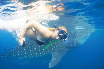 Whaleshark Adventure Oslob with Breakfast Whaleshark Adventure Oslob with Breakfast