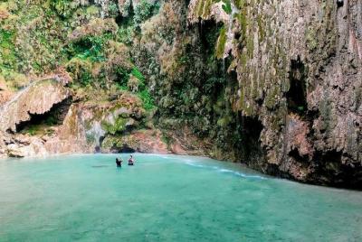 Oslob Whale Shark Watching, Kawasan Falls and Tumalog Falls from Cebu Oslob Whale Shark Watching, Kawasan Falls and Tumalog Falls from Cebu