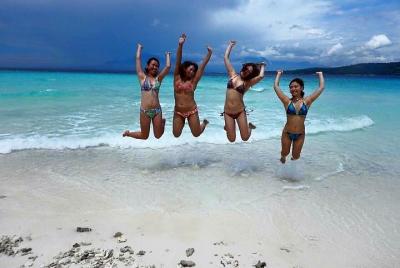 Cebu Whalesharks & Sumilon Island Journeys Cebu Whalesharks & Sumilon Island Journeys