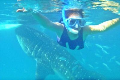Full Day Whale Shark Experience with Kawasan Falls and Tumalog Falls from Cebu Full Day Whale Shark Experience with Kawasan Falls and Tumalog Falls from Cebu