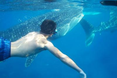 7 Days, Best of Outdoor Adventures in Cebu, Philippines 7 Days, Best of Outdoor Adventures in Cebu, Philippines