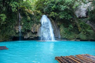 Oslob Whale Shark and Kawasan Falls Day Tour Oslob Whale Shark and Kawasan Falls Day Tour