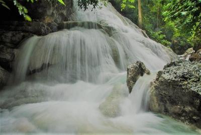 Oslob Whaleshark with Aguinid Waterfalls Oslob Whaleshark with Aguinid Waterfalls