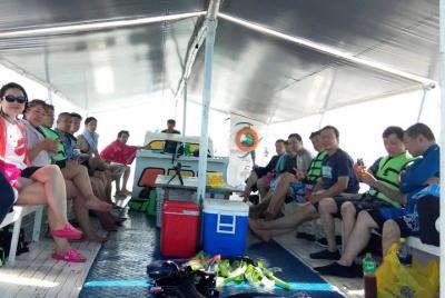 Island Hopping Tour to Nalusuan Island Island Hopping Tour to Nalusuan Island