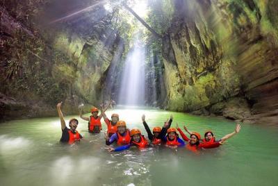 Oslob Whale Shark and Kawasan Falls Canyoneering Day Tour